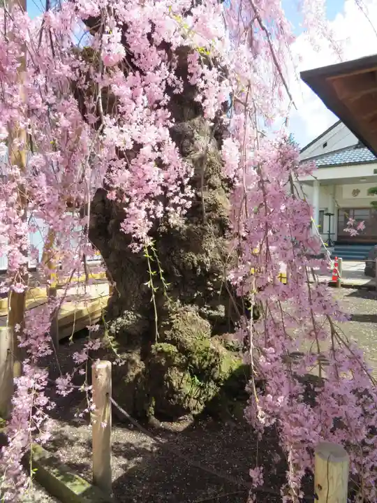 妙関寺(福島県)