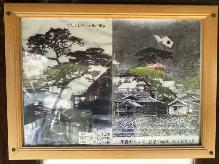 平野の一本松と地蔵堂(十王堂跡)(兵庫県)