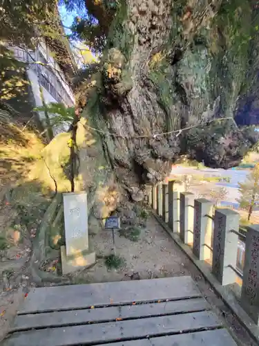 楽法寺（雨引観音）(茨城県)