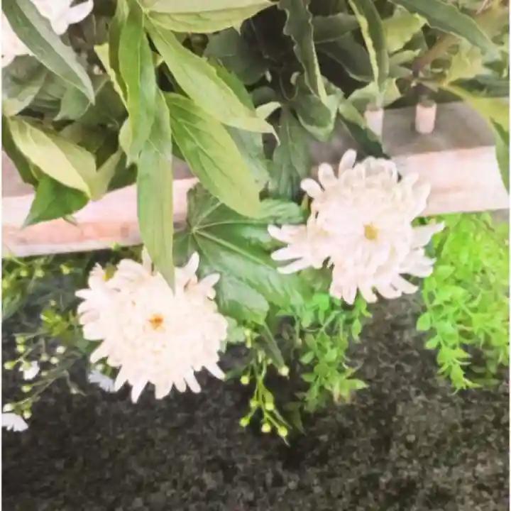 彌彦神社 (伊夜日子神社)(北海道)