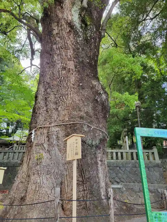 五所神社(神奈川県)