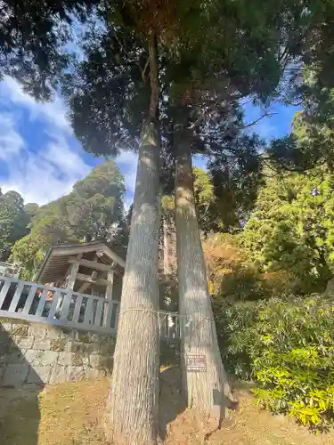脊振神社(佐賀県)