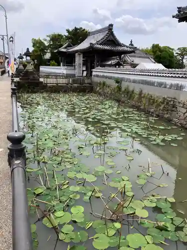 雲龍山 本證寺(愛知県)