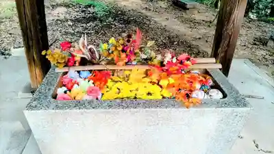 高山神社(群馬県)