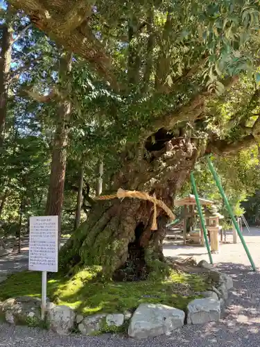加茂神社(滋賀県)