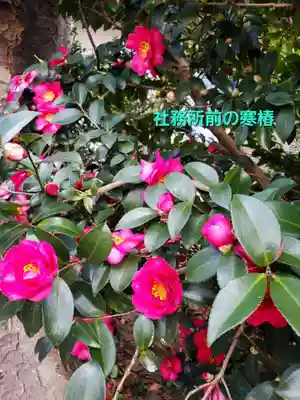 愛宕神社(福島県)