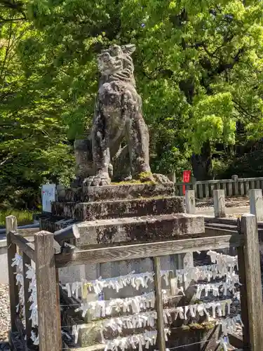 岐阜護國神社の狛犬