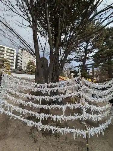 四柱神社(長野県)