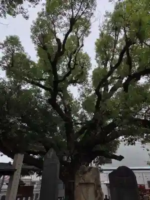 石津神社(大阪府)