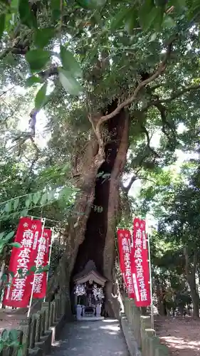宝城坊のその他建物