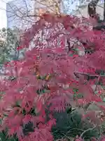 常圓寺(東京都)