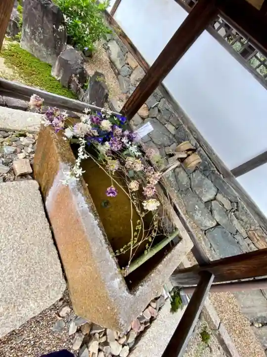 興聖寺(興聖寶林禅寺)の手水舎