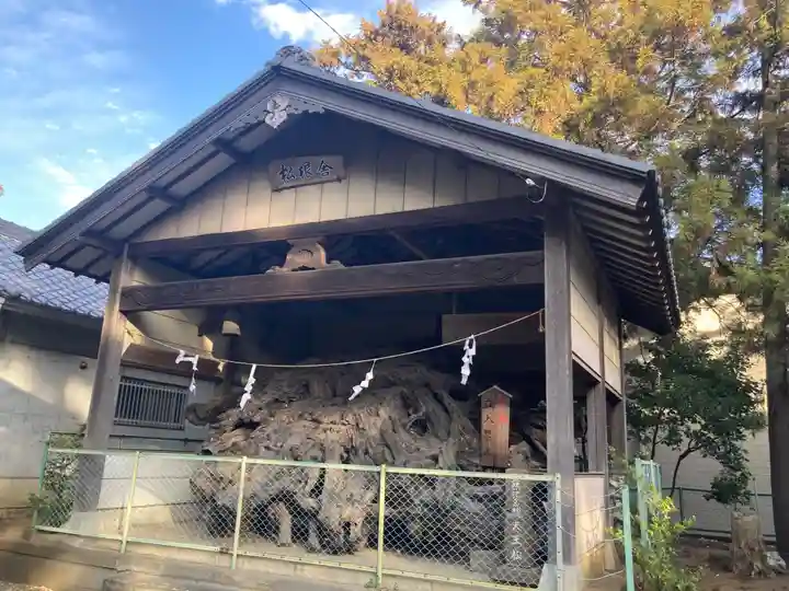 八坂神社(神奈川県)