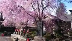 赤門の寺　法蔵寺(栃木県)