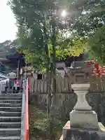 足立山妙見宮(御祖神社)(福岡県)
