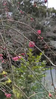大豊神社(京都府)