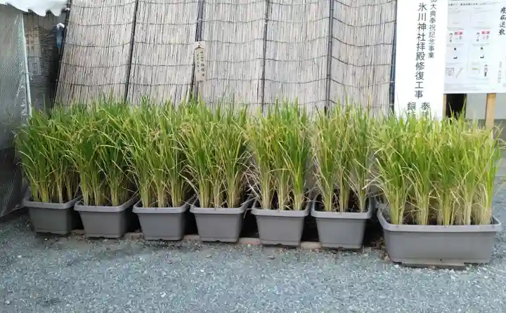 相模原氷川神社のその他建物