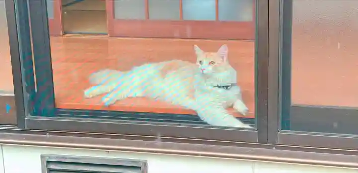 刈田嶺神社(宮城県)