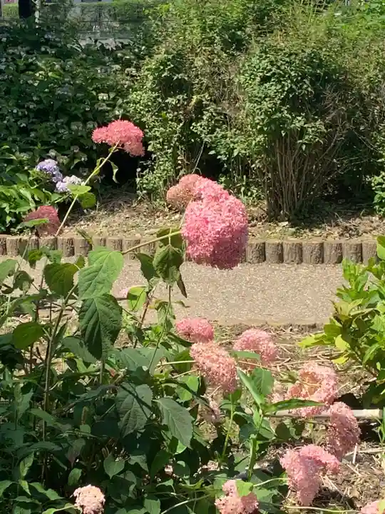 三宮社(愛知県)