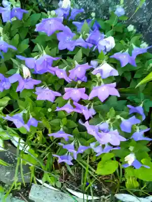 妙心院(宮城県)