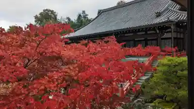 妙満寺(京都府)
