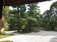 廬山寺（廬山天台講寺）の庭園