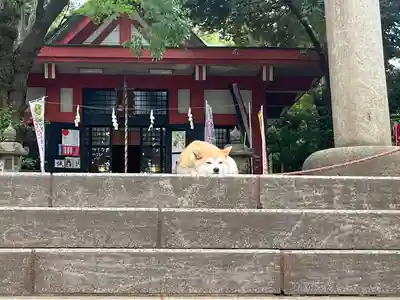 笠䅣稲荷神社(神奈川県)