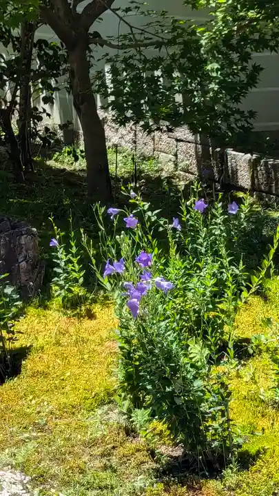廬山寺(廬山天台講寺)(京都府)