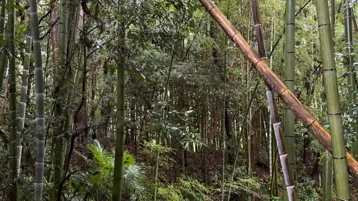 相馬中村神社(福島県)