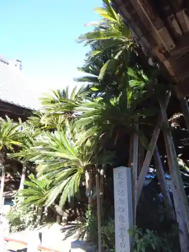 能満寺(静岡県)