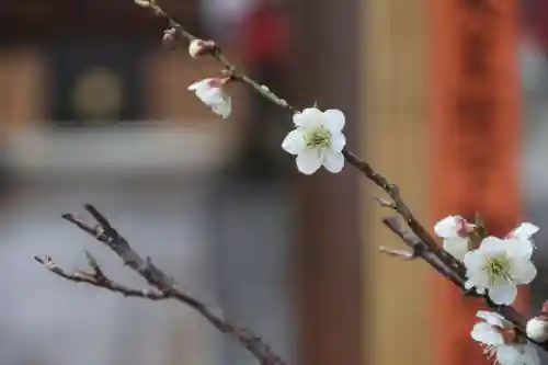 大鏑神社の庭園