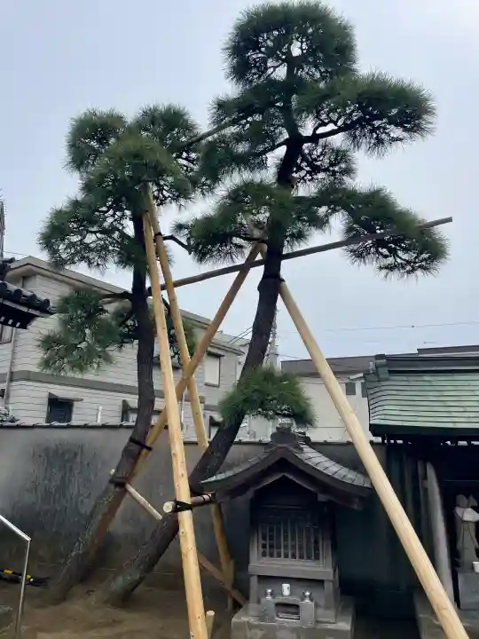 観音寺の{uncategorized: "未分類", other: "その他", undefined: "問題あり", building: "その他建物", grave: "お墓", sacred_gate: "鳥居", guardian: "狛犬", statue: "像", buddha: "仏像", history: "歴史", nature: "自然", garden: "庭園", animal: "動物", pagoda: "塔", temizu: "手水舎", mountain_gate: "山門・神門", sanctuary: "本殿・本堂", subordinate: "末社・摂社", art: "芸術", scenery: "景色", jizo: "地蔵", ema: "絵馬", goshuin: "御朱印", omikuji: "おみくじ", items: "授与品その他", amulet: "お守り", goshuincho: "御朱印帳", eats: "食事", festival: "お祭り", votive_dance: "神楽", shichigosan: "七五三参", wedding: "結婚式", experience: "体験その他", initially: "初詣", around: "周辺", anti_infection: "感染症対策"}