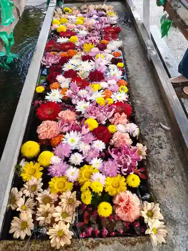 津島神社の手水舎