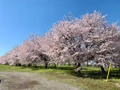 船玉神社(茨城県)