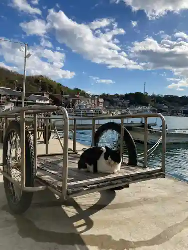 金刀比羅社の動物