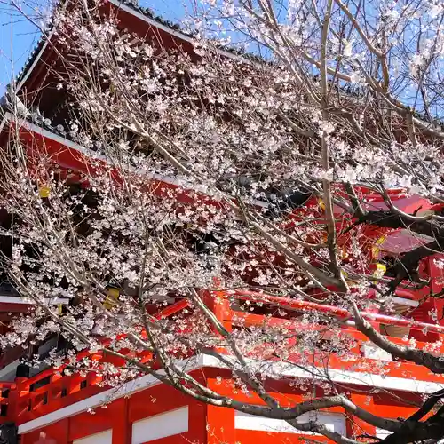 大須観音 （北野山真福寺宝生院）(愛知県)