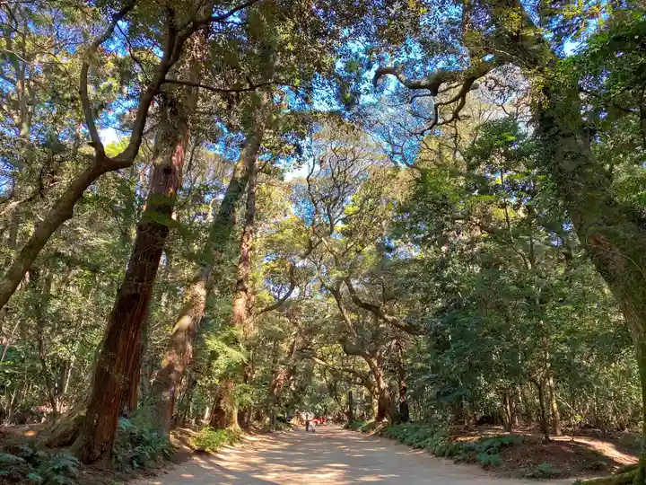 鹿島神宮の自然