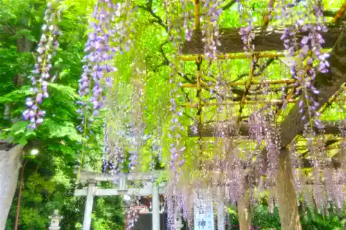 日吉神社(東京都)