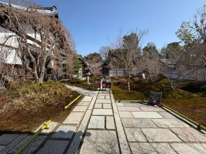 西来院の{uncategorized: "未分類", other: "その他", undefined: "問題あり", building: "その他建物", grave: "お墓", sacred_gate: "鳥居", guardian: "狛犬", statue: "像", buddha: "仏像", history: "歴史", nature: "自然", garden: "庭園", animal: "動物", pagoda: "塔", temizu: "手水舎", mountain_gate: "山門・神門", sanctuary: "本殿・本堂", subordinate: "末社・摂社", art: "芸術", scenery: "景色", jizo: "地蔵", ema: "絵馬", goshuin: "御朱印", omikuji: "おみくじ", items: "授与品その他", amulet: "お守り", goshuincho: "御朱印帳", eats: "食事", festival: "お祭り", votive_dance: "神楽", shichigosan: "七五三参", wedding: "結婚式", experience: "体験その他", initially: "初詣", around: "周辺", anti_infection: "感染症対策"}
