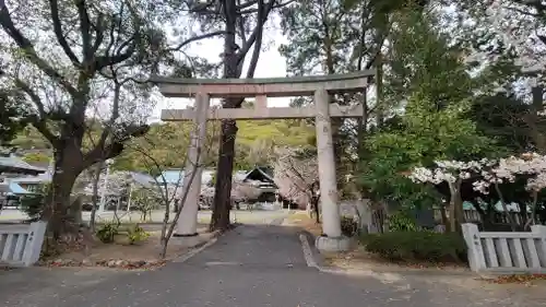 愛媛縣護國神社(愛媛県)