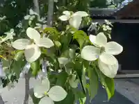 美奈宜神社(福岡県)