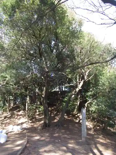 春日部八幡神社(埼玉県)