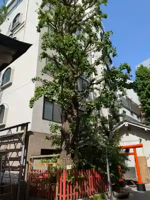 銀杏岡八幡神社(東京都)