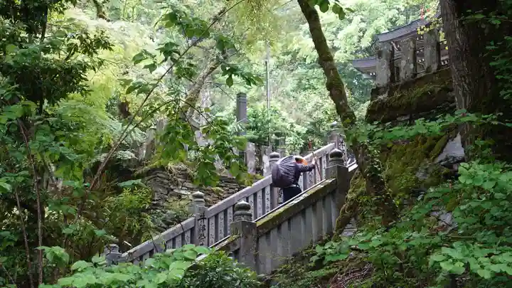 大宝寺(愛媛県)