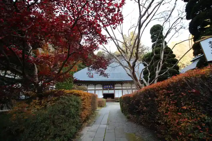 安楽寺(長野県)