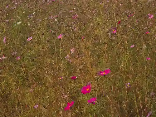 達身寺(兵庫県)