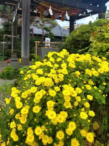 豊景神社(福島県)