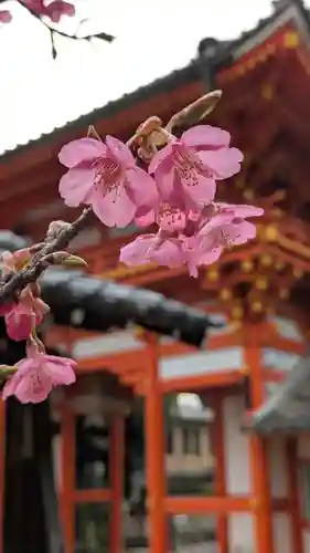 新日吉神宮(京都府)