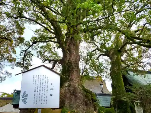 太宰府天満宮の自然