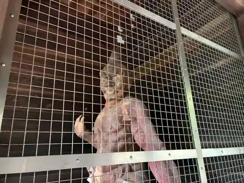 切幡寺(徳島県)